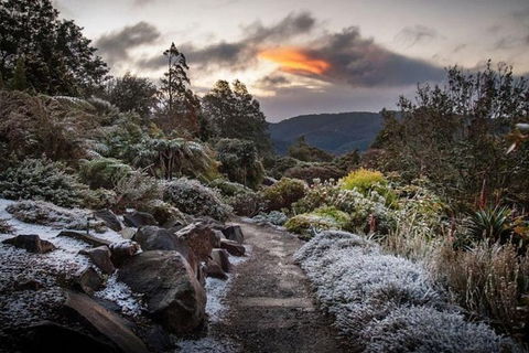 Blue Mountains Botanic Garden And Bilpin Tour From Katoomba With Cider Tasting - Accommodation Mount Tamborine 2