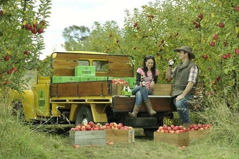 Blue Mountains Botanic Garden And Bilpin Tour From Katoomba With Cider Tasting - Accommodation Mount Tamborine 0