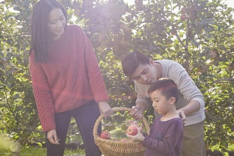 Blue Mountains Botanic Garden And Bilpin Tour From Katoomba With Cider Tasting - Accommodation Mount Tamborine 1