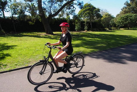 Half-Day Guided Sightseeing E-bike Tour Of Sydney Harbour - Accommodation Mount Tamborine 2