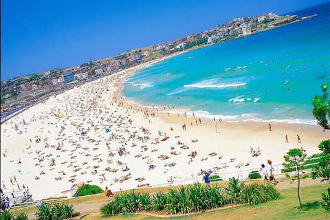 Half-Day Walking Tour In Sydney - Accommodation Mount Tamborine 3