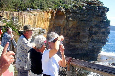 Half-Day Walking Tour In Sydney - Accommodation Mount Tamborine 2