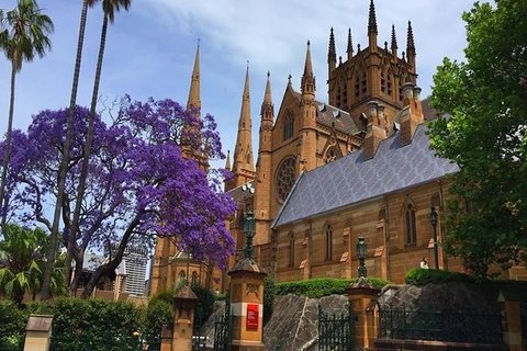 Half-Day Walking Tour In Sydney - Accommodation Mount Tamborine 4