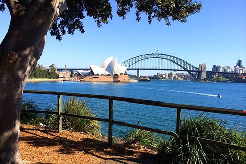 Half-Day Walking Tour In Sydney - Accommodation Mount Tamborine 0
