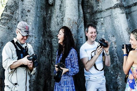 Sydney Travel Morning Photography Tour - Accommodation Mount Tamborine 5