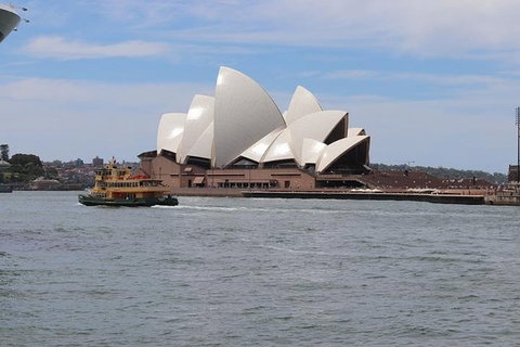 Private Sydney City & Bondi Beach Half Day Tour - Accommodation Mount Tamborine 0