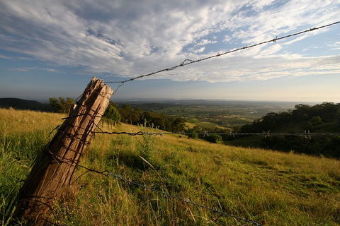Private Full-Day Wine Tour In Hunter Valley - Accommodation Mount Tamborine 3