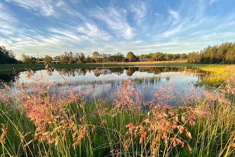 Private Full-Day Wine Tour In Hunter Valley - Accommodation Mount Tamborine 5