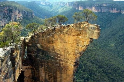 Full-Day Blue Mountains Small-Group Tour With River Cruise - Accommodation Mount Tamborine 5