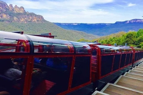 Full-Day Blue Mountains Small-Group Tour With River Cruise - Accommodation Mount Tamborine 1