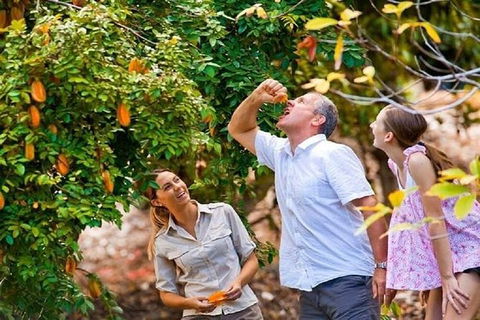 Full-Day Guided Tour Byron Bay With Pickup - Accommodation Mount Tamborine 1
