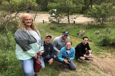 Full-Day Guided Tour Of Blue Mountains With Pick Up - Accommodation Mount Tamborine 2