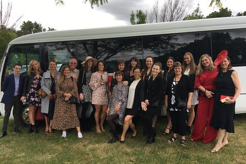 Private 24 Seat Mini Bus Sydney CBD To Penrith Stadium Transfer - Accommodation Mount Tamborine 5