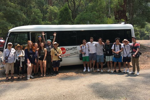 Private 24 Seat Mini Bus Sydney CBD To Penrith Stadium Transfer - Accommodation Mount Tamborine 4