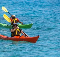Small-Group Kayaking Experience in Sydney - Accommodation Mount Tamborine