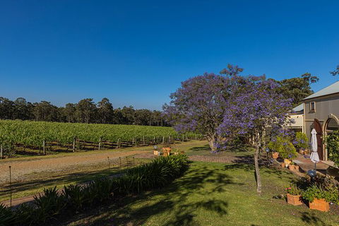 Hideaway Private Tours Hunter Valley - Accommodation Mount Tamborine 3