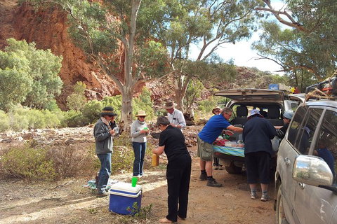 12-Day Outback 4WD Tour Of New South Wales Far West - Accommodation Mount Tamborine 6