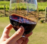 Wine Tasting in Canberra Region - Accommodation Mount Tamborine