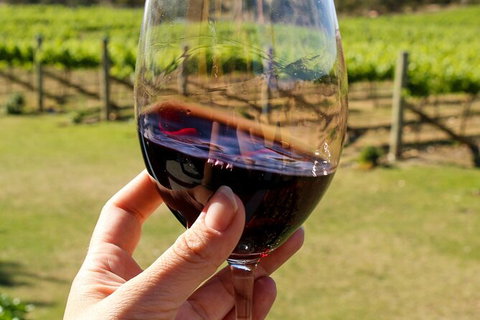 Wine Tasting In Canberra Region - Accommodation Mount Tamborine 0