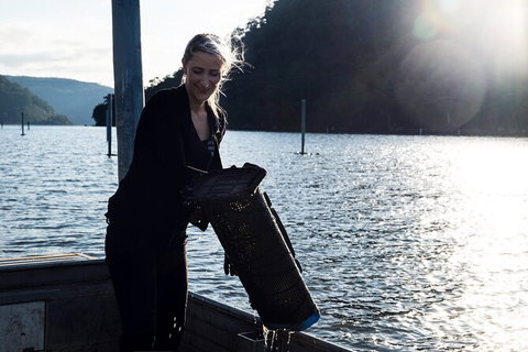 Oyster Farm Tour- Hawkesbury River (1hr North Of Sydney). - Accommodation Mount Tamborine 1