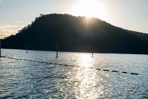 Oyster Farm Tour- Hawkesbury River (1hr North Of Sydney). - Accommodation Mount Tamborine 4