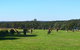 The Hunter Valley 2-day Food And Wine Tour With Hot Air Balloon - thumb 10