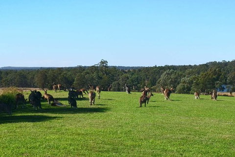 The Hunter Valley 2-day Food And Wine Tour With Hot Air Balloon - Accommodation Mount Tamborine 10