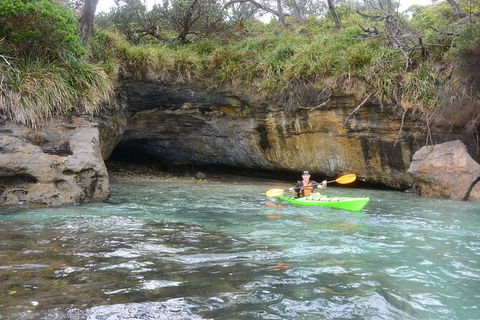 Half-Day Jervis Bay Sea Kayak Tour - Accommodation Mount Tamborine 8