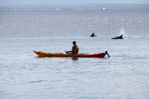 Half-Day Jervis Bay Sea Kayak Tour - Accommodation Mount Tamborine 4