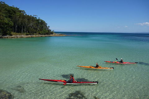 Half-Day Jervis Bay Sea Kayak Tour - Accommodation Mount Tamborine 3