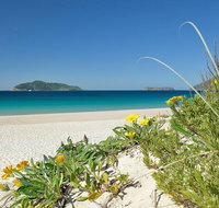 Tea Gardens and Hawks Nest Beach Bus Guided Tour - Accommodation Mount Tamborine