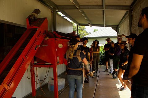 Pecan Farm Tour And Workshop, Byron Bay Hinterland - Accommodation Mount Tamborine 4