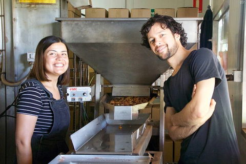Pecan Farm Tour And Workshop, Byron Bay Hinterland - Accommodation Mount Tamborine 7