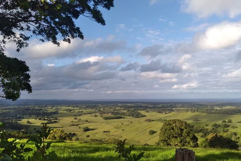Pecan Farm Tour And Workshop, Byron Bay Hinterland - Accommodation Mount Tamborine 1
