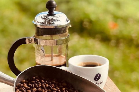 Coffee Farm Tour And Workshop, Byron Bay Hinterland - Accommodation Mount Tamborine 0