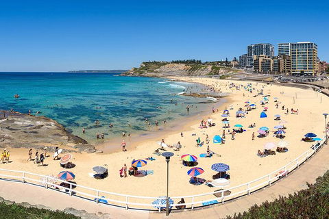 Newcastle Scenic Explorer - 2 Hour Tour By Minibus - Accommodation Mount Tamborine 16
