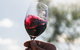 Wine Tasting In Yenda (up To 6 Wines) - thumb 0