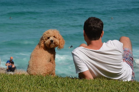 See Sydney With A Local: Private & Personalized - Accommodation Mount Tamborine 4