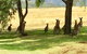 Hunter Valley Wine Tasting All Inclusive Private Bus Tour From Sydney - thumb 7