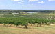Hunter Valley Wine Tasting All Inclusive Private Bus Tour From Sydney - thumb 6