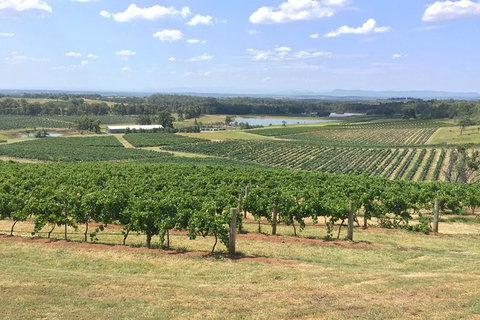 Hunter Valley Wine Tasting All Inclusive Private Bus Tour From Sydney - Accommodation Mount Tamborine 6