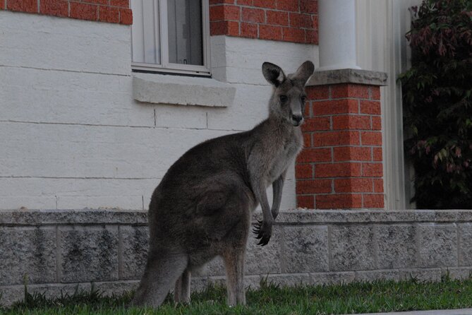 Parliament House NSW Accommodation Mount Tamborine