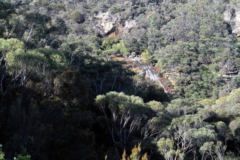 Blue Mountains Highlights & Featherdale Wildlife Park - Accommodation Mount Tamborine 5