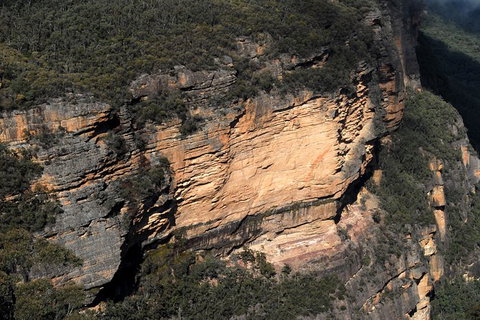 Blue Mountains Highlights & Featherdale Wildlife Park - Accommodation Mount Tamborine 4