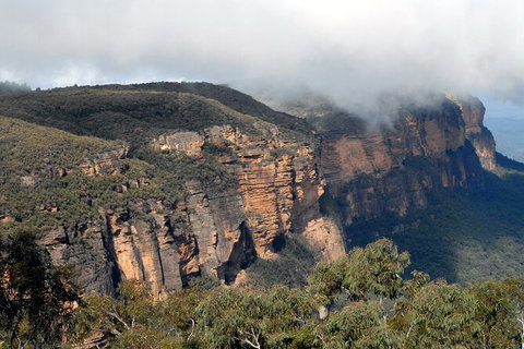 Blue Mountains Highlights & Featherdale Wildlife Park - Accommodation Mount Tamborine 2