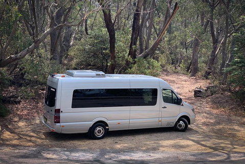 Sydney And Regional Transport - Accommodation Mount Tamborine 10