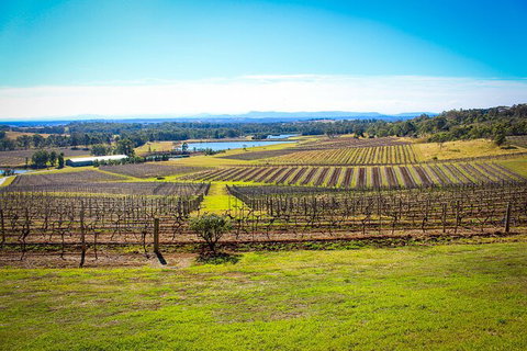 Sydney And Regional Transport - Accommodation Mount Tamborine 4