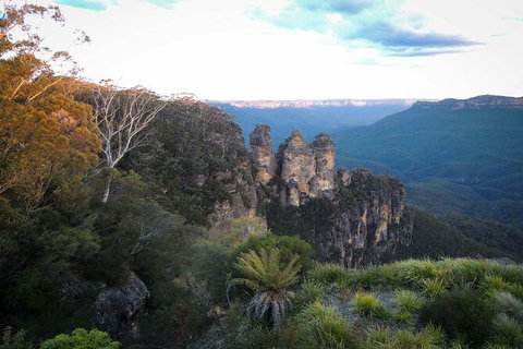 Sydney And Regional Transport - Accommodation Mount Tamborine 7