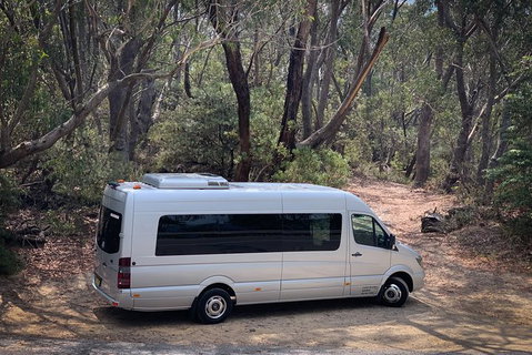 Sydney And Regional Transport - Accommodation Mount Tamborine 6