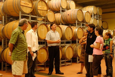 Hunter Valley Small Group Luxury Wine Tasting Tour From Sydney - Accommodation Mount Tamborine 7
